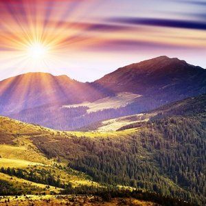 Meet your Posher, Dee